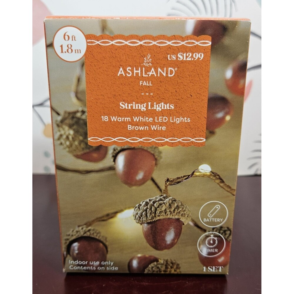 NIB Ashland Fall Autumn Acorn String Lights 6' LED Lights w/ Timer 18 Warm White